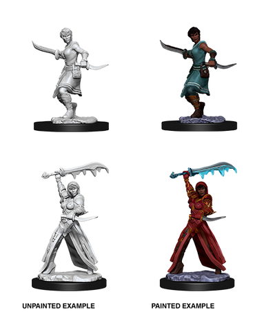 D&D Nolzur's Marvelous Miniatures: Human Rogue (Female)