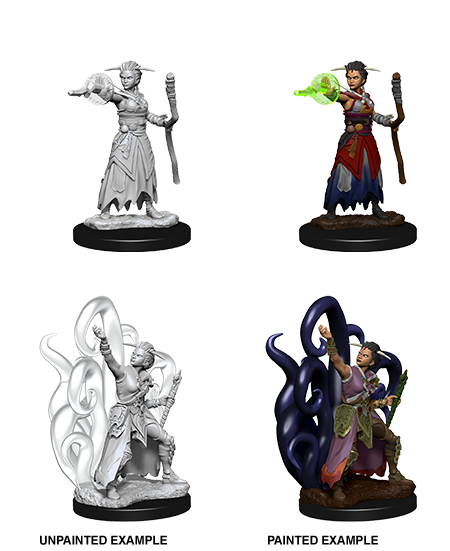 D&D Nolzur's Marvelous Miniatures: Human Warlock (Female)