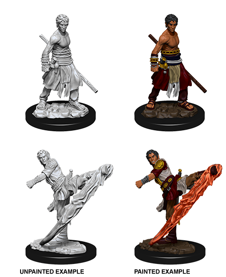 D&D Nolzur's Marvelous Miniatures: Half-Elf Monk (Male)