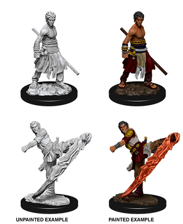 D&D Nolzur's Marvelous Miniatures: Half-Elf Monk (Male)