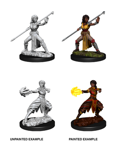 D&D Nolzur's Marvelous Miniatures: Half-Elf Monk (Female)