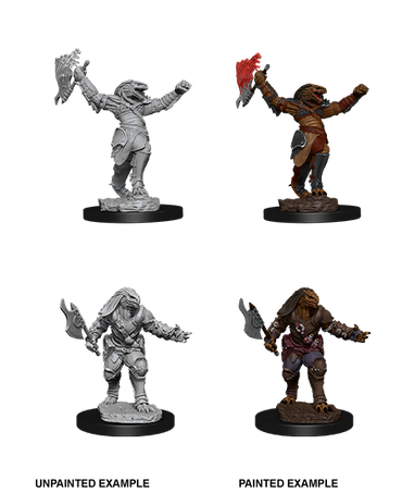 D&D Nolzur's Marvelous Miniatures: Dragonborn Fighter (Female)