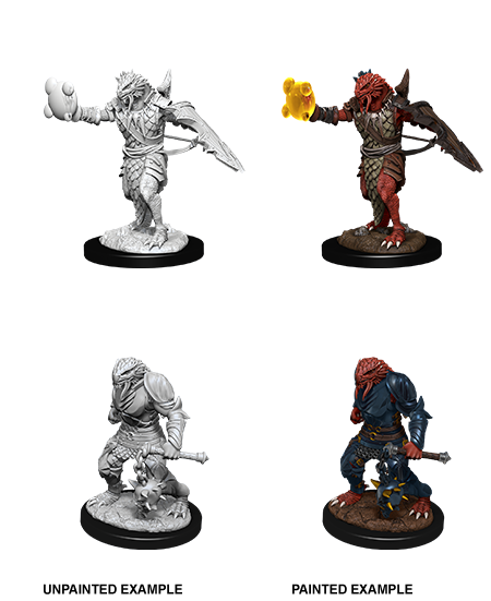 D&D Nolzur's Marvelous Miniatures: Dragonborn Paladin (Male)