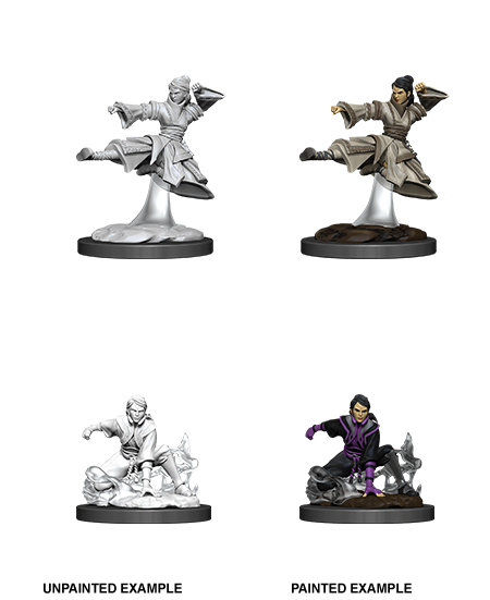 D&D Nolzur's Marvelous Miniatures: Human Monk (Female)