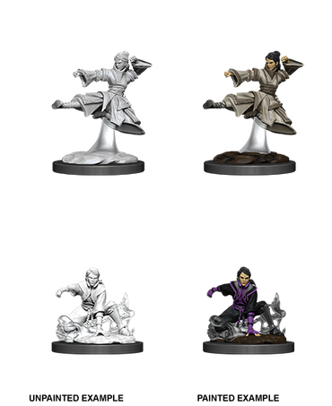 D&D Nolzur's Marvelous Miniatures: Human Monk (Female)