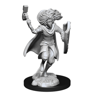 Nolzur's Marvelous Miniatures: Changeling Cleric (Male)