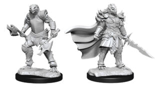 D&D Nolzur's Marvelous Miniatures: Dragonborn Fighter (Female)