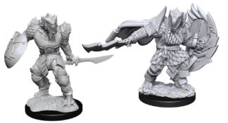 D&D Nolzur's Marvelous Miniatures: Dragonborn Fighter (Male)