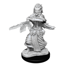 Nolzur's Marvelous Miniatures: Night Hag & Dusk Hag