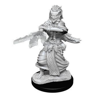 Nolzur's Marvelous Miniatures: Night Hag & Dusk Hag