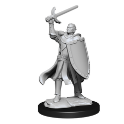 Nolzur's Marvelous Miniatures: Half-Elf Paladin (Male)