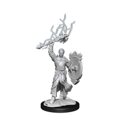 Nolzur's Marvelous Miniatures: Half-Elf Paladin (Male)