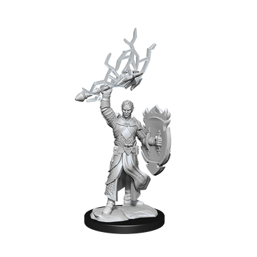 Nolzur's Marvelous Miniatures: Half-Elf Paladin (Male)