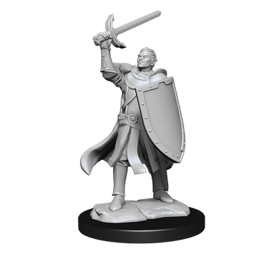 Nolzur's Marvelous Miniatures: Half-Elf Paladin (Male)
