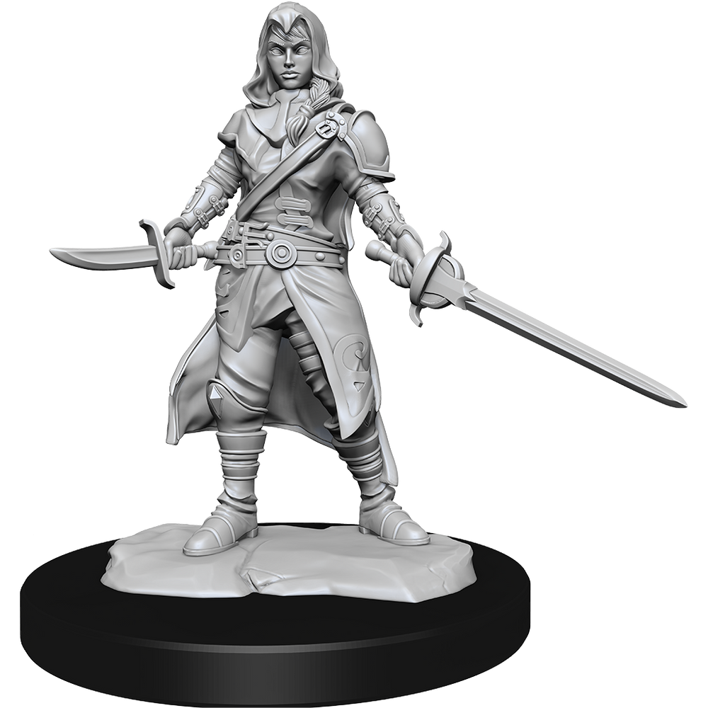 Nolzur's Marvelous Miniatures: Half-Elf Rogue (Female)