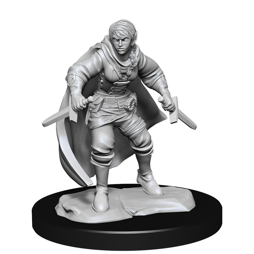 Nolzur's Marvelous Miniatures: Half-Elf Rogue (Female)