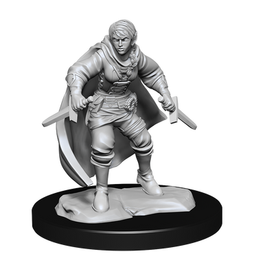 Nolzur's Marvelous Miniatures: Half-Elf Rogue (Female)