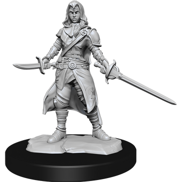 Nolzur's Marvelous Miniatures: Half-Elf Rogue (Female)