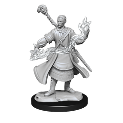 Nolzur's Marvelous Miniatures: Half-Elf Wizard (Male)