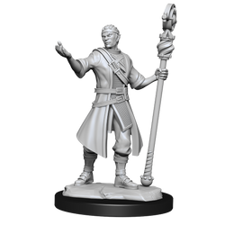 Nolzur's Marvelous Miniatures: Half-Elf Wizard (Male)