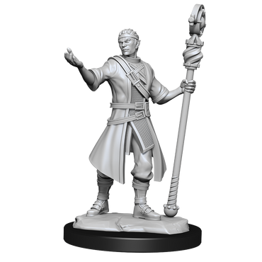 Nolzur's Marvelous Miniatures: Half-Elf Wizard (Male)