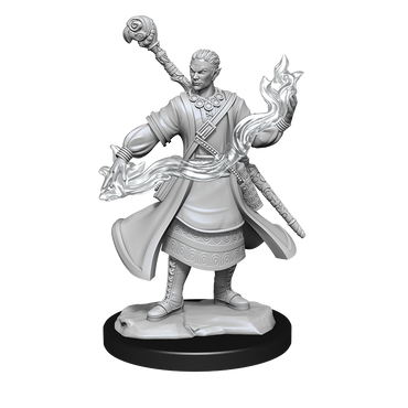 Nolzur's Marvelous Miniatures: Half-Elf Wizard (Male)