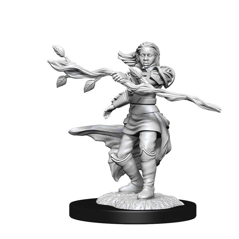 Nolzur's Marvelous Miniatures: Human Druid (Female)