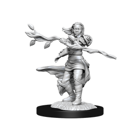 Nolzur's Marvelous Miniatures: Human Druid (Female)
