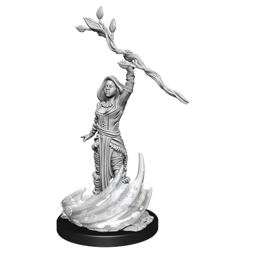 Nolzur's Marvelous Miniatures: Human Druid (Female)