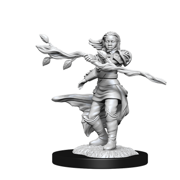 Nolzur's Marvelous Miniatures: Human Druid (Female)