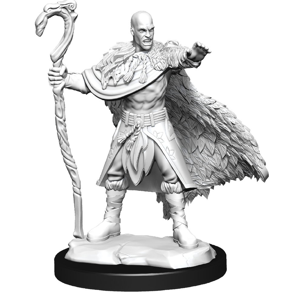 Nolzur's Marvelous Miniatures: Human Druid (Male)
