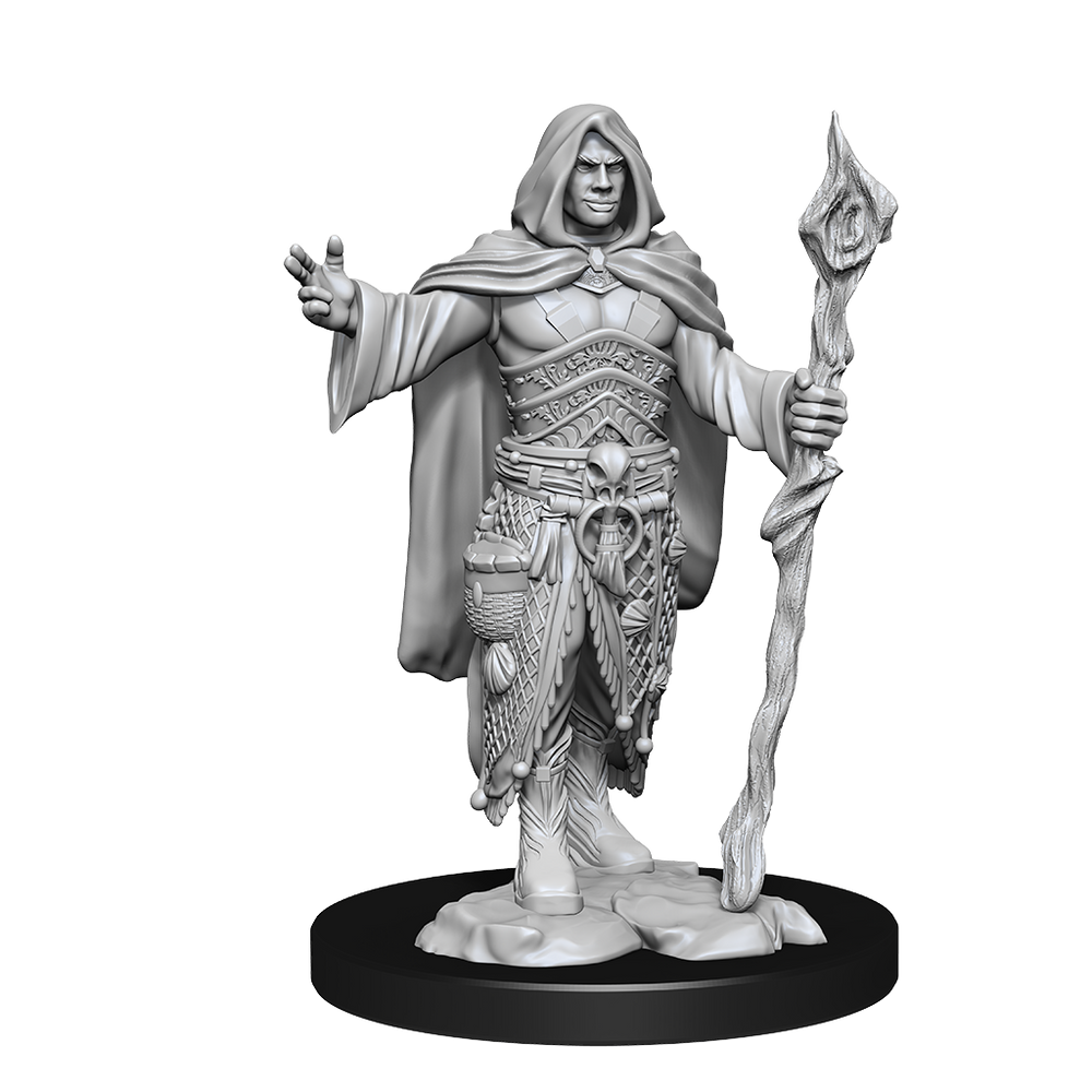 Nolzur's Marvelous Miniatures: Human Druid (Male)