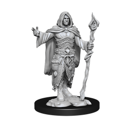 Nolzur's Marvelous Miniatures: Human Druid (Male)