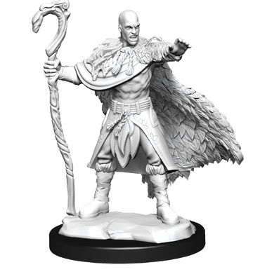 Nolzur's Marvelous Miniatures: Human Druid (Male)
