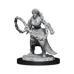 Nolzur's Marvelous Miniatures: Human Monk (Female)