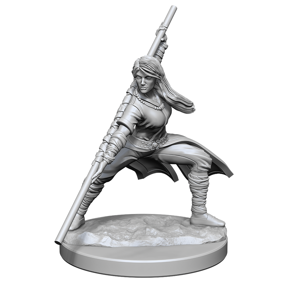 Nolzur's Marvelous Miniatures: Human Monk (Female)