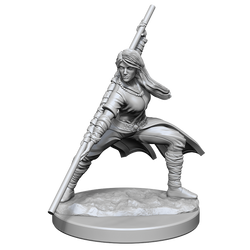 Nolzur's Marvelous Miniatures: Human Monk (Female)