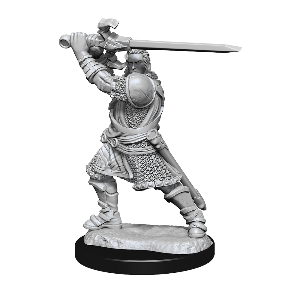 Nolzur's Marvelous Miniatures: Human Paladin (Male)