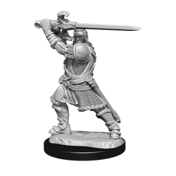 Nolzur's Marvelous Miniatures: Human Paladin (Male)