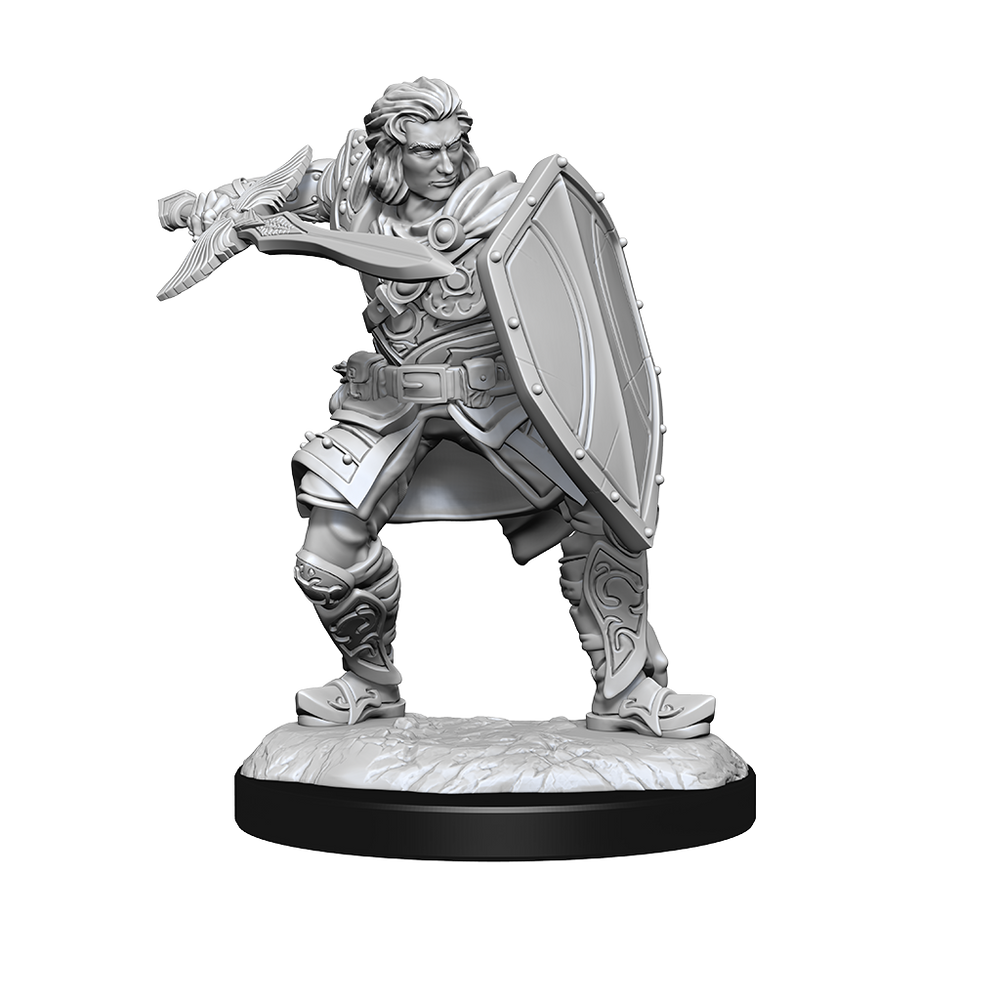 Nolzur's Marvelous Miniatures: Human Paladin (Male)