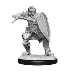 Nolzur's Marvelous Miniatures: Human Paladin (Male)
