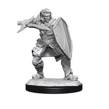 Nolzur's Marvelous Miniatures: Human Paladin (Male)