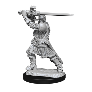 Nolzur's Marvelous Miniatures: Human Paladin (Male)