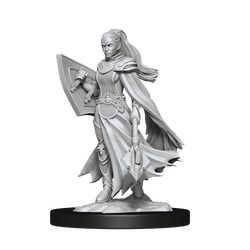 Nolzur's Marvelous Miniatures: Kalasthar Cleric (Female)