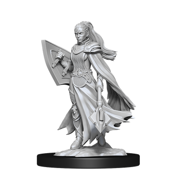 Nolzur's Marvelous Miniatures: Kalasthar Cleric (Female)