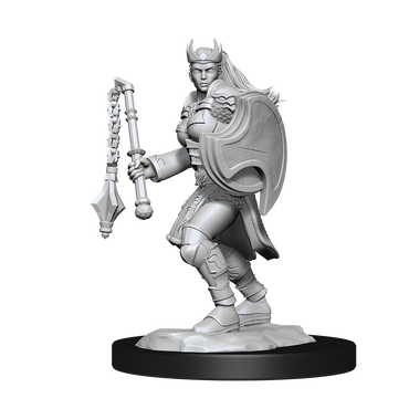 Nolzur's Marvelous Miniatures: Kalasthar Cleric (Female)