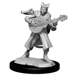 Nolzur's Marvelous Miniatures: Tiefling Bard (Female)
