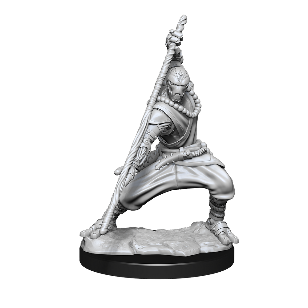 Nolzur's Marvelous Miniatures: Warforged Monk