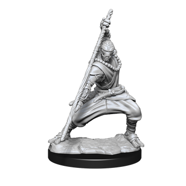 Nolzur's Marvelous Miniatures: Warforged Monk
