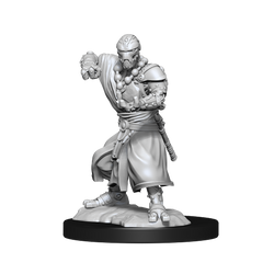 Nolzur's Marvelous Miniatures: Warforged Monk